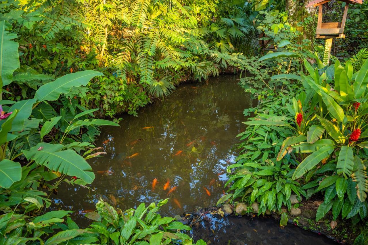 El Jardin Lodge & Spa Puerto Misahuallí Eksteriør billede